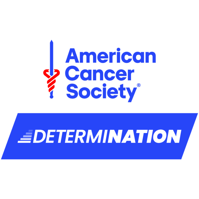 Image for American Cancer Society
